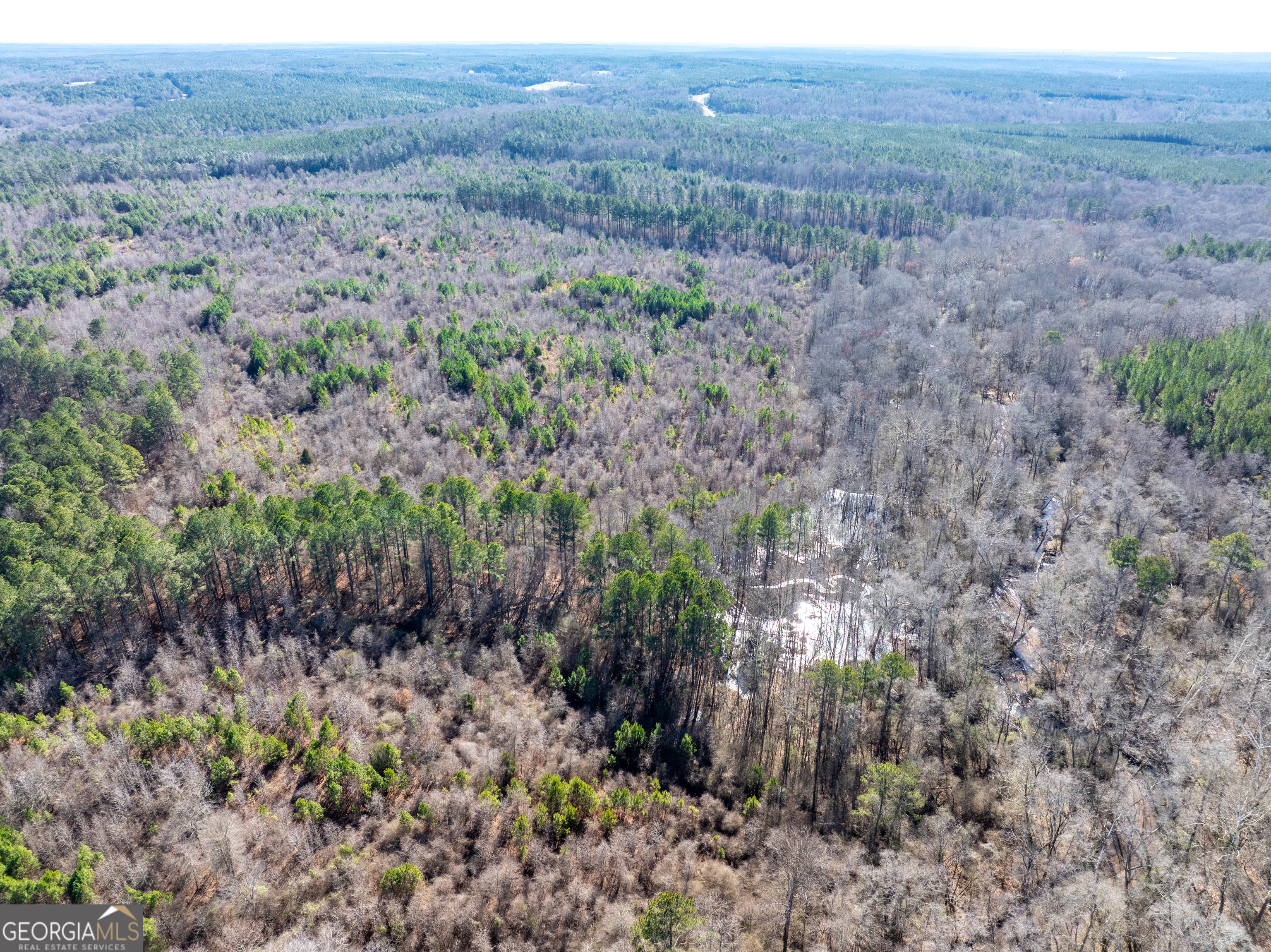 2071 Leslie Mill Road Greensboro GA 30642
