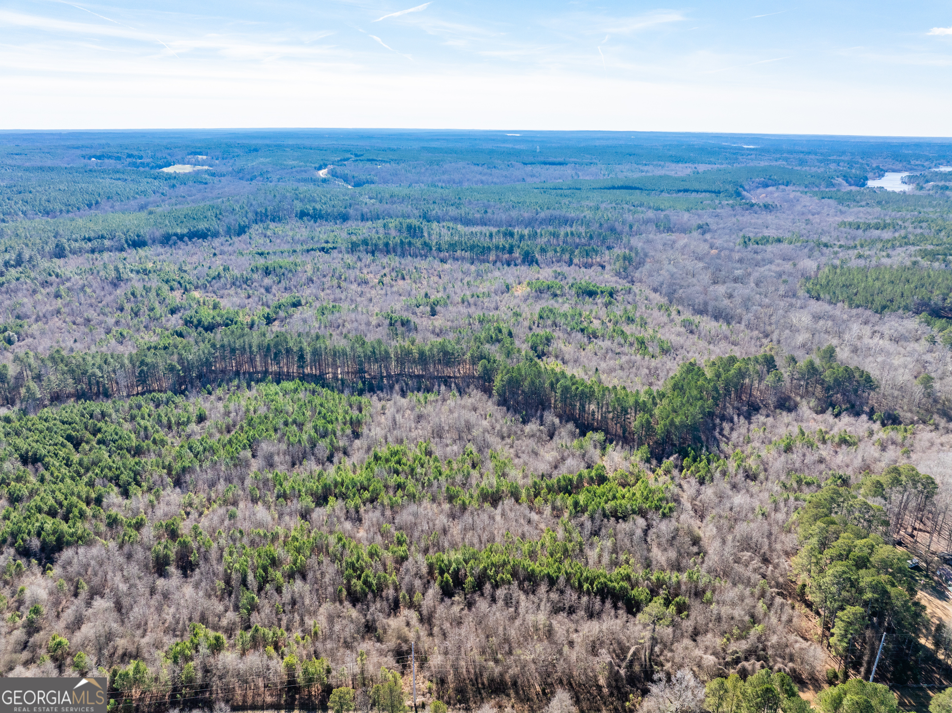 2071 Leslie Mill Road Greensboro GA 30642
