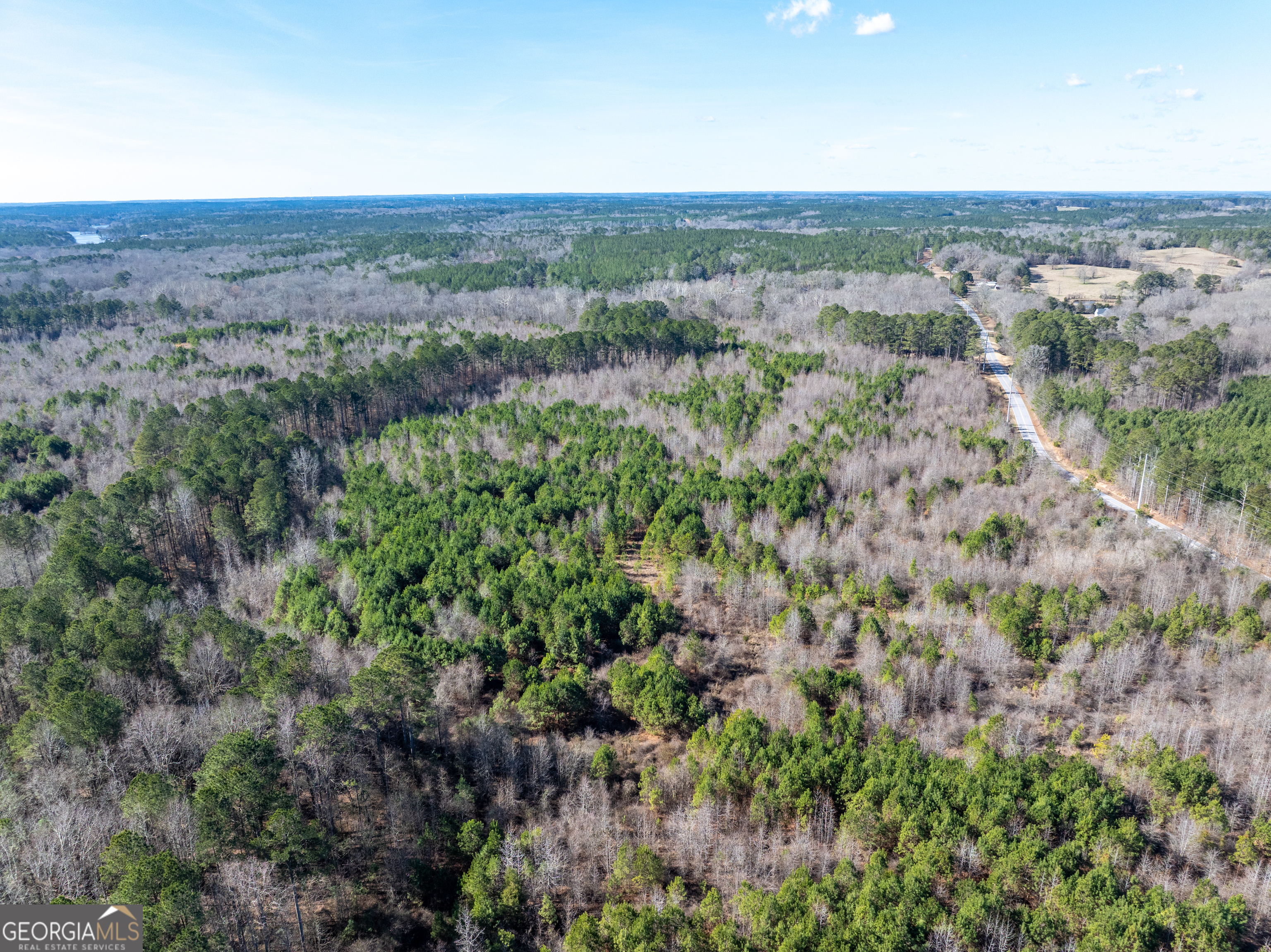 2071 Leslie Mill Road Greensboro GA 30642
