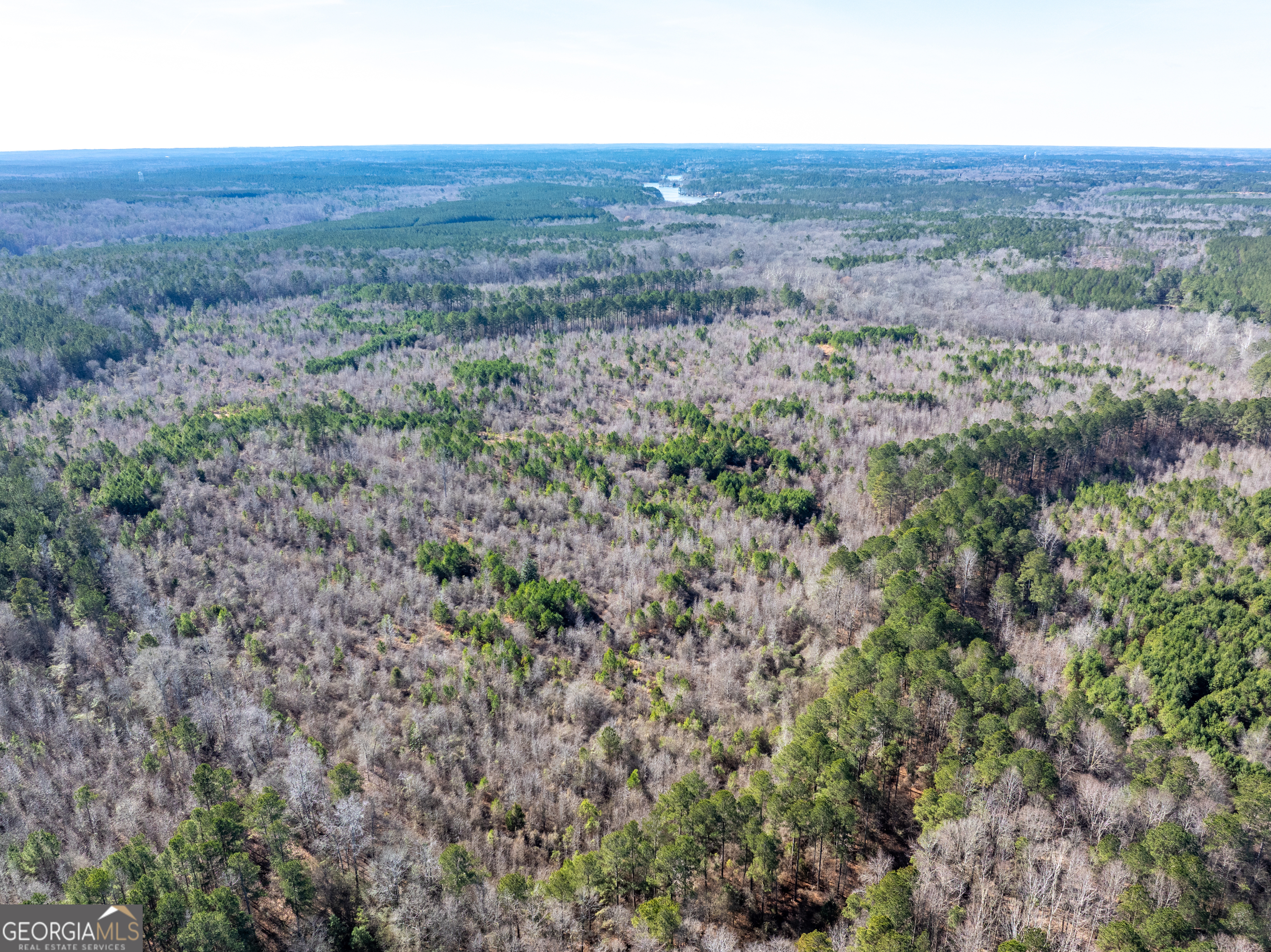 2071 Leslie Mill Road Greensboro GA 30642