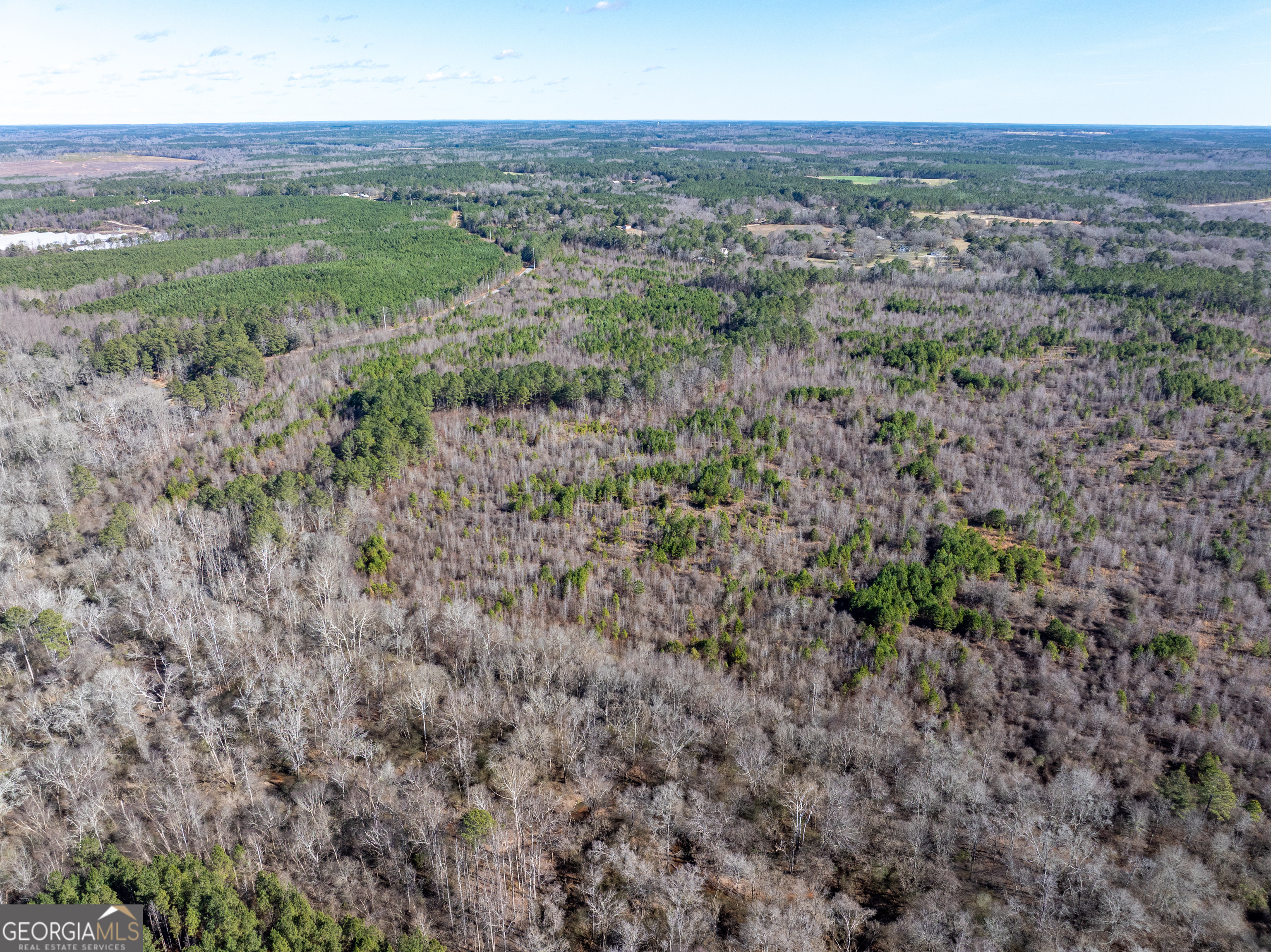 2071 Leslie Mill Road Greensboro GA 30642