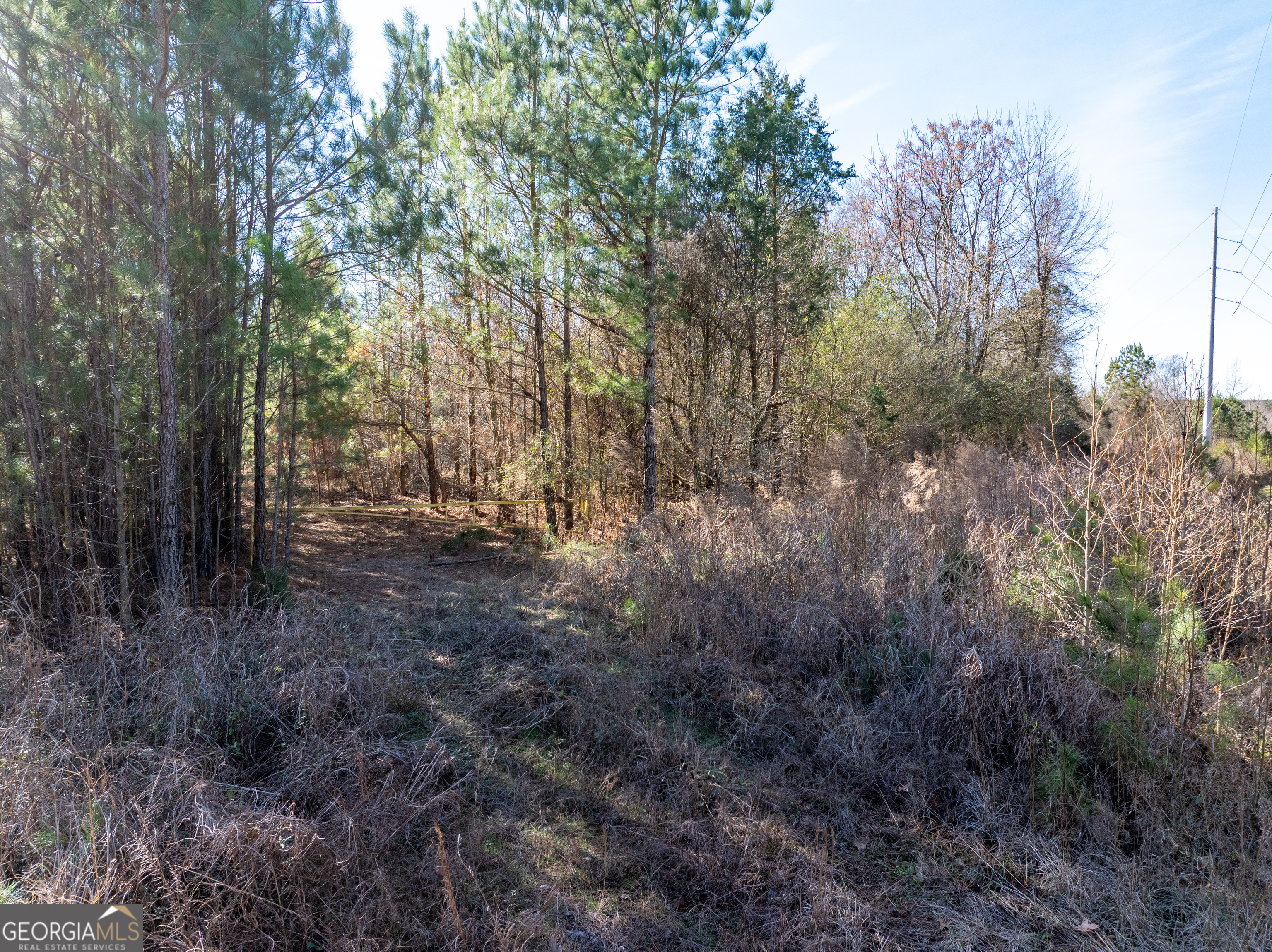 2071 Leslie Mill Road Greensboro GA 30642