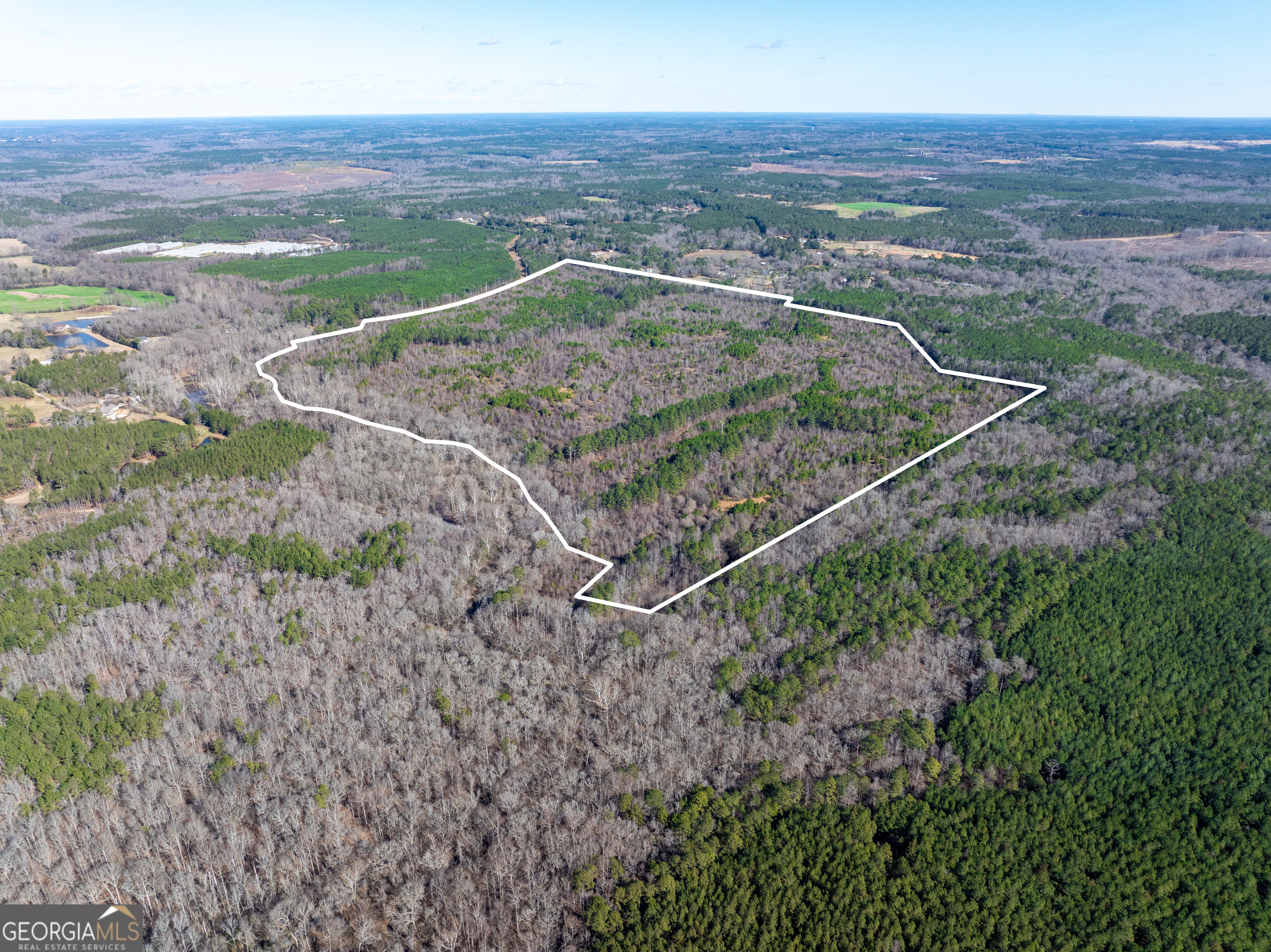 2071 Leslie Mill Road Greensboro GA 30642