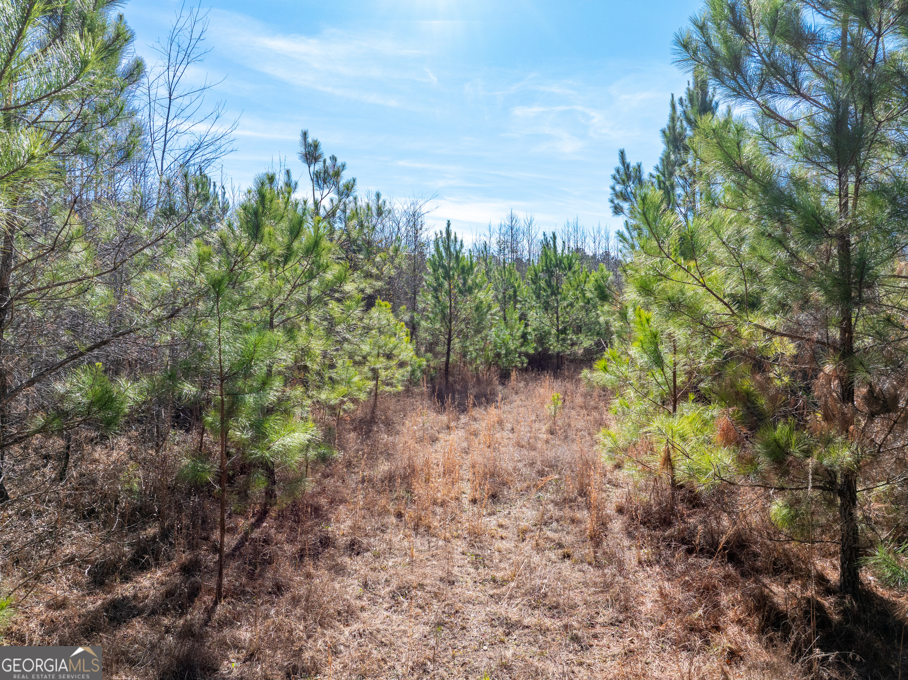 2071 Leslie Mill Road Greensboro GA 30642