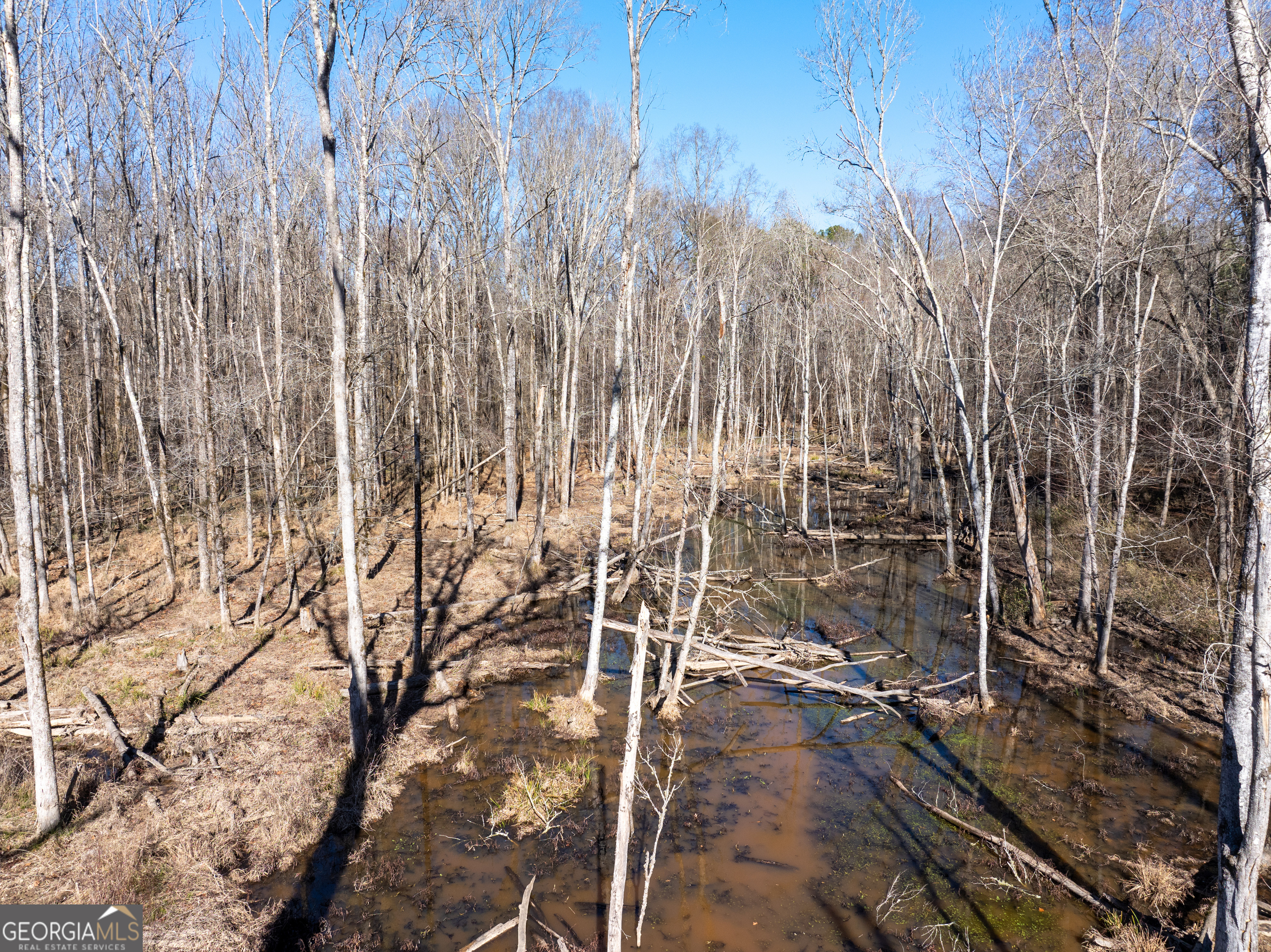 2071 Leslie Mill Road Greensboro GA 30642