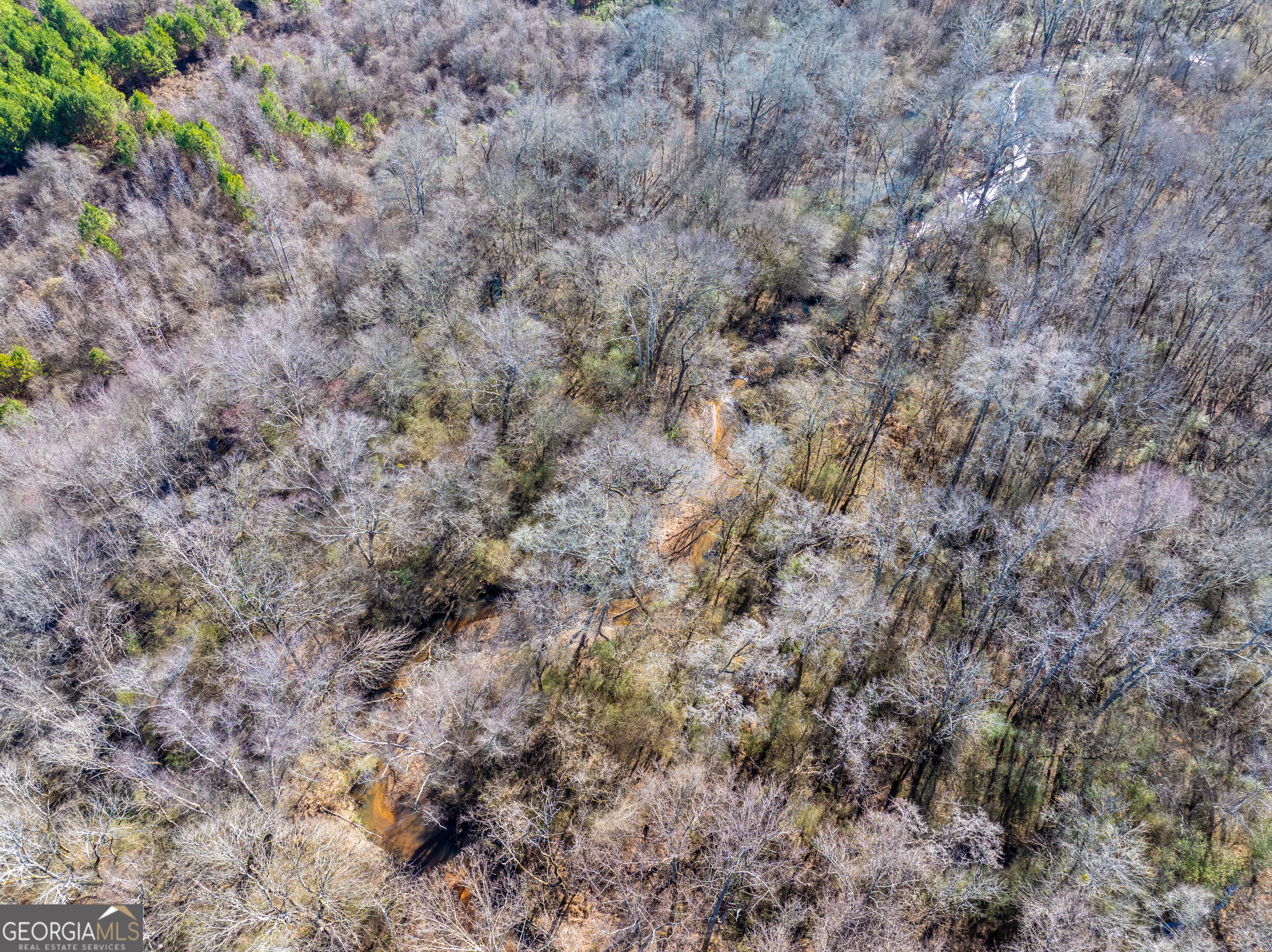 2071 Leslie Mill Road Greensboro GA 30642