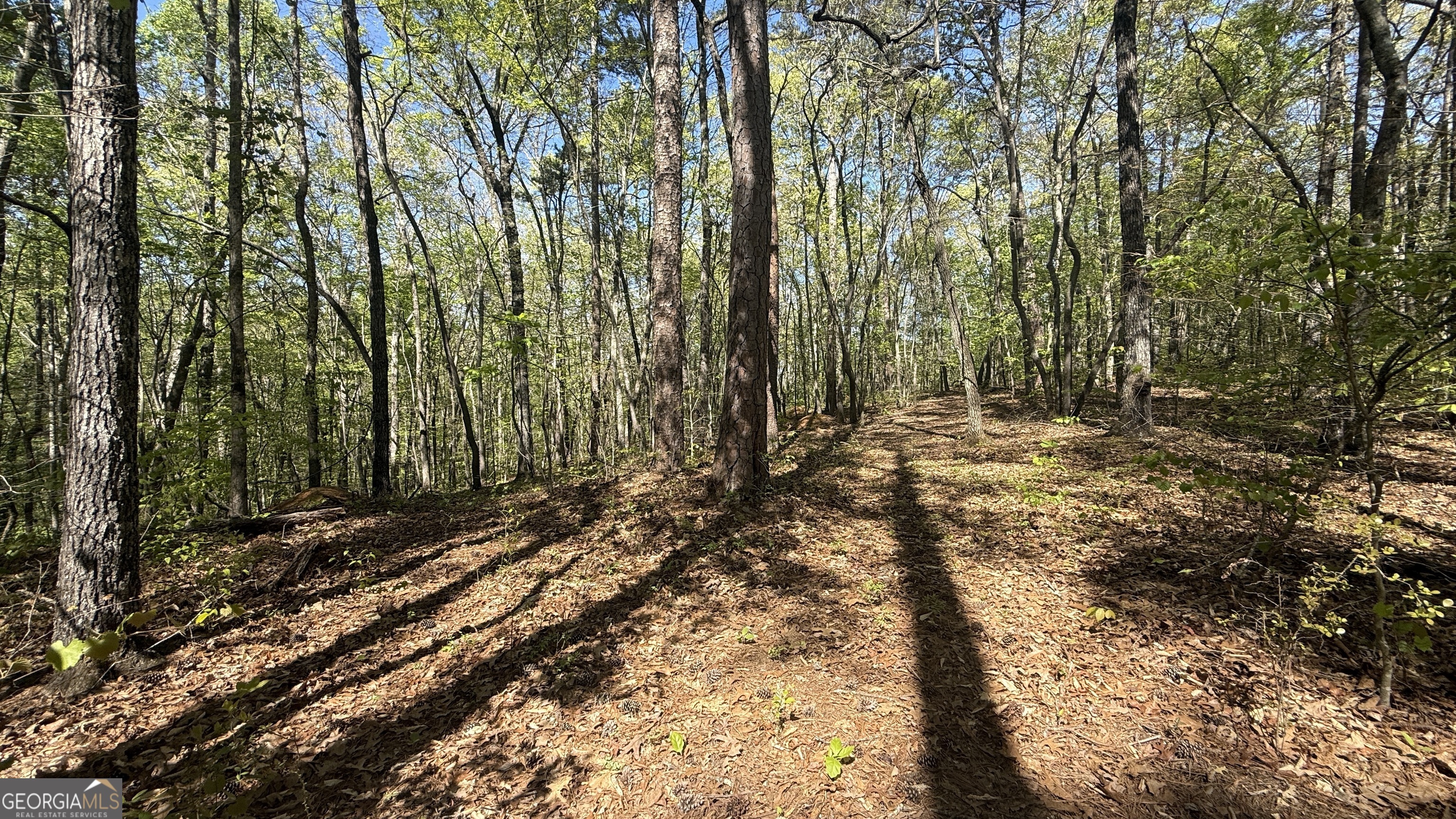 551 Harvey Fields Drive Canton GA 30114