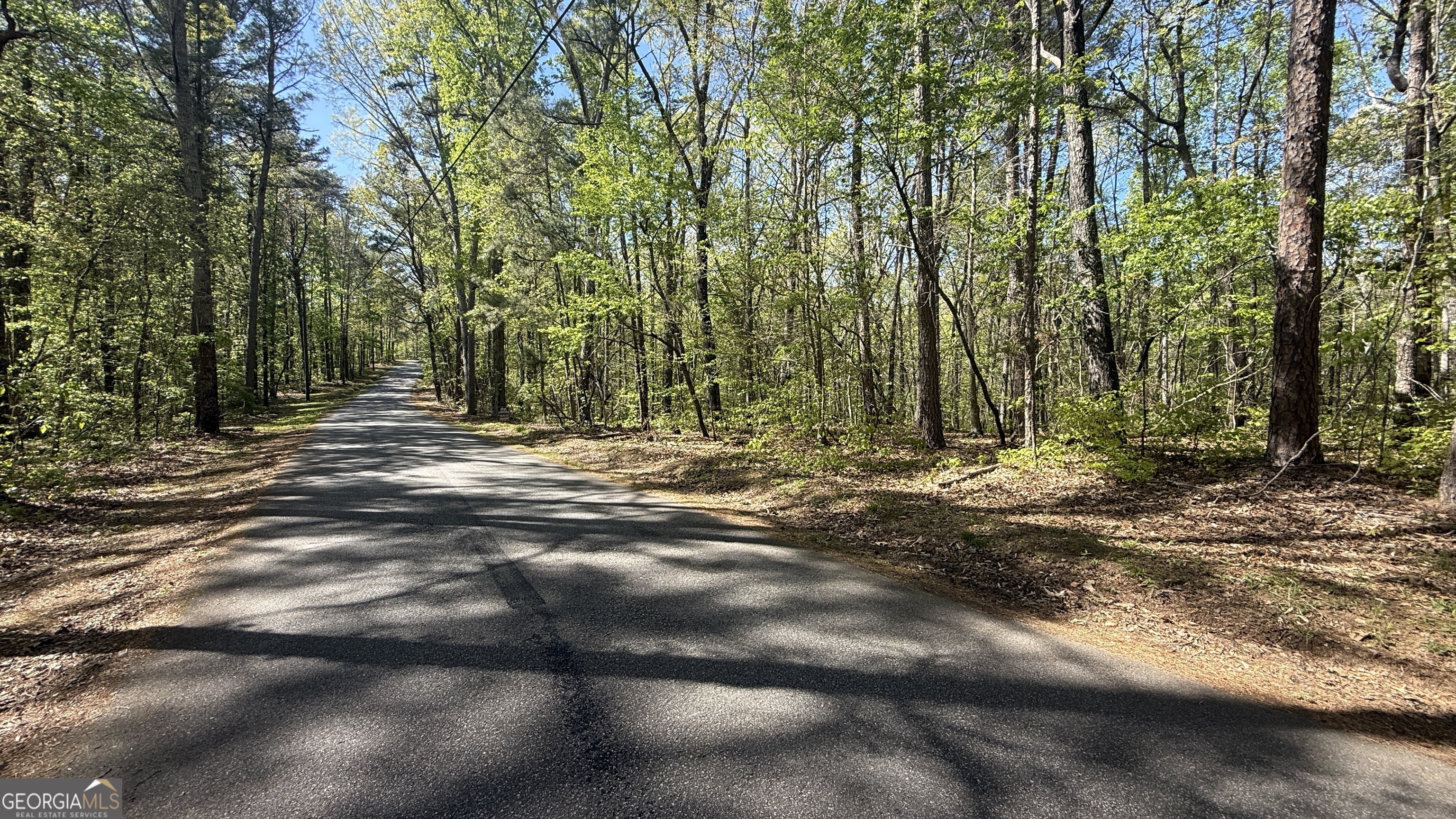 551 Harvey Fields Drive Canton GA 30114