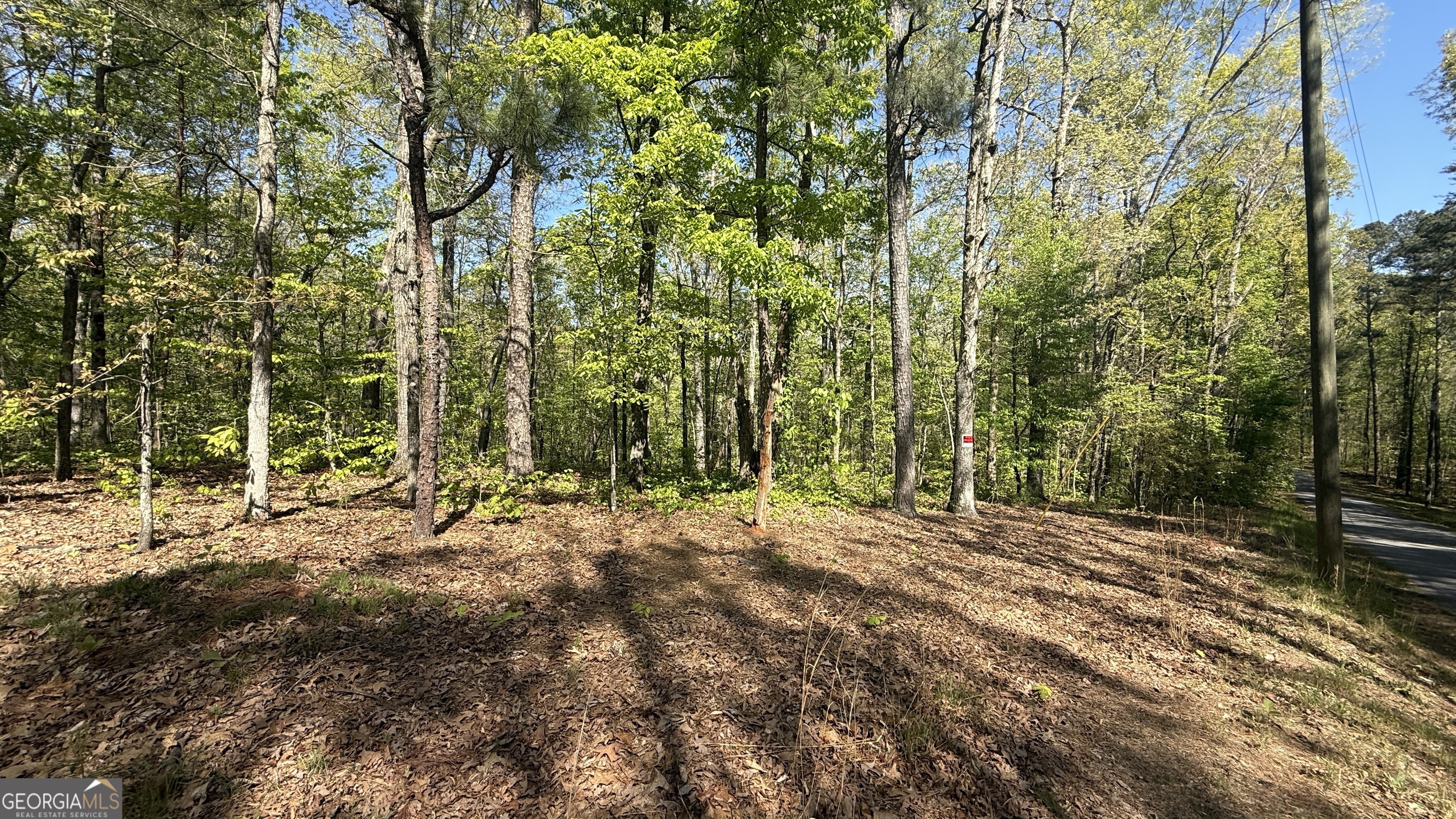 551 Harvey Fields Drive Canton GA 30114