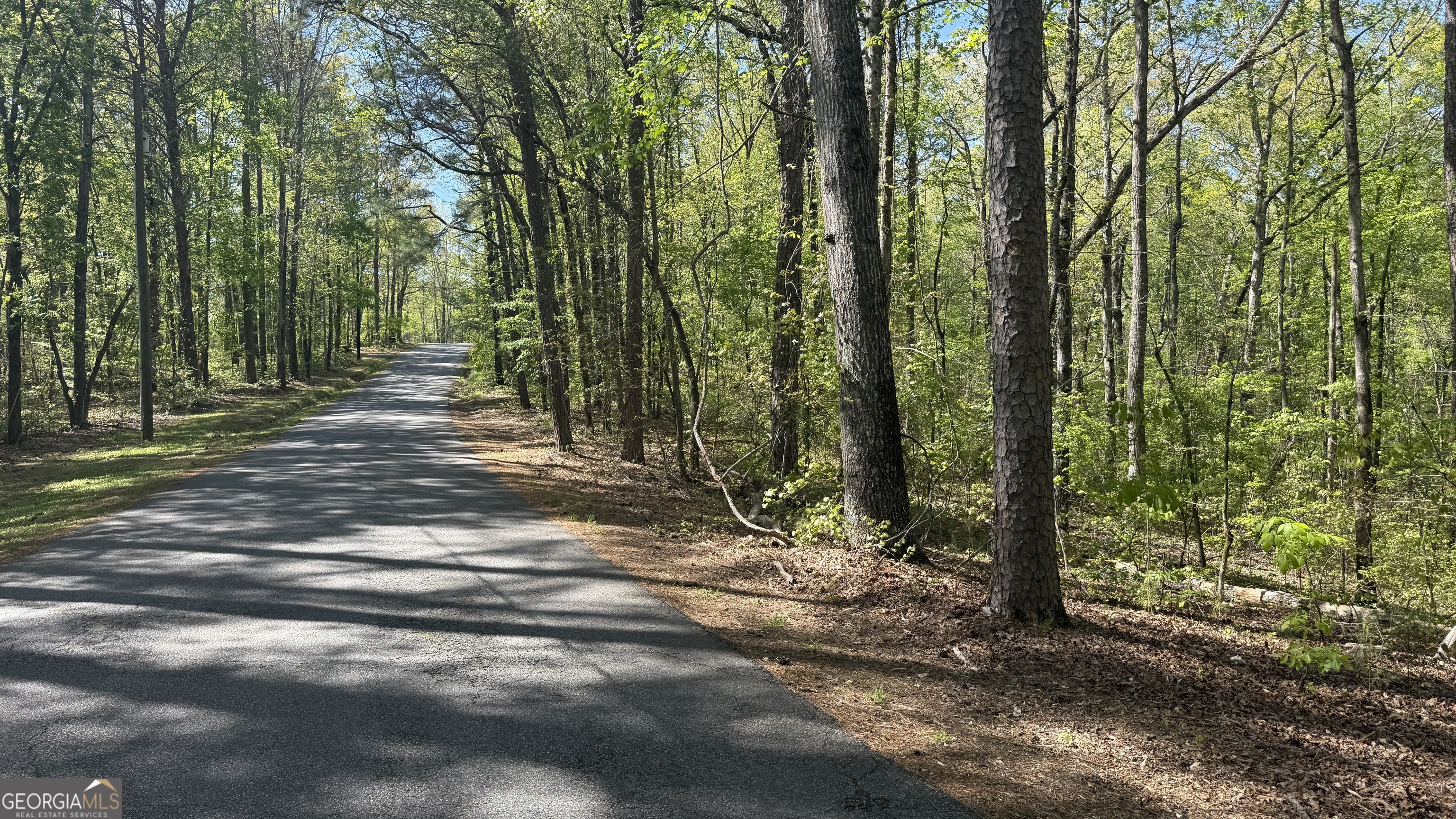 551 Harvey Fields Drive Canton GA 30114