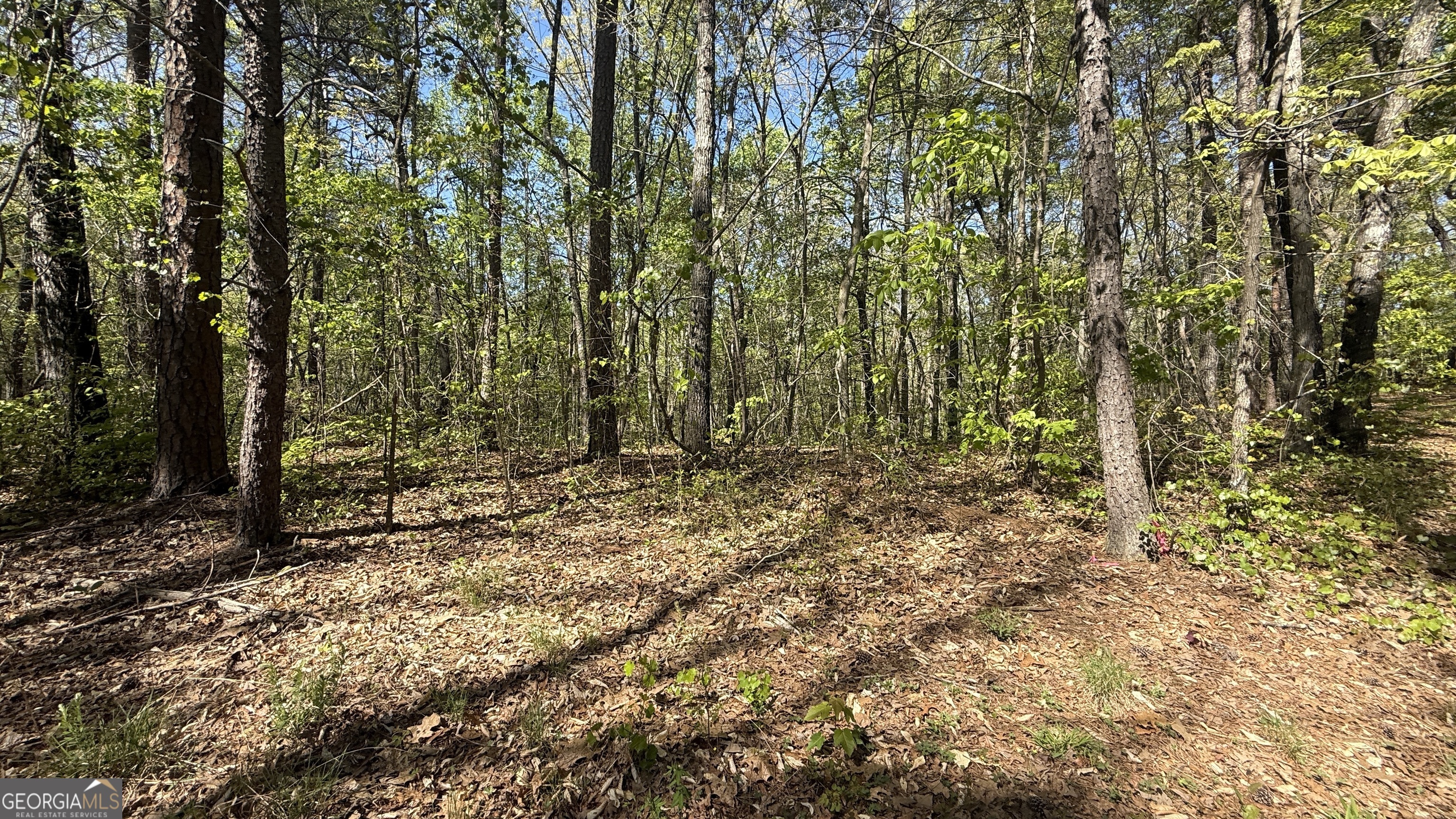 551 Harvey Fields Drive Canton GA 30114