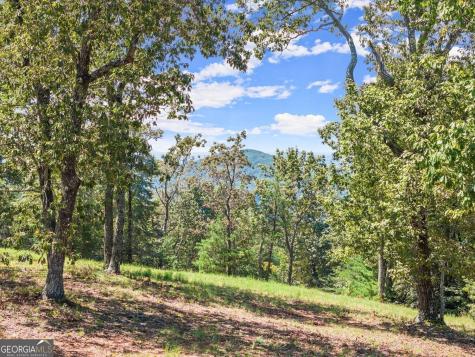 0 Helton Road Cleveland GA 30528