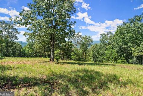 0 Helton Road Cleveland GA 30528