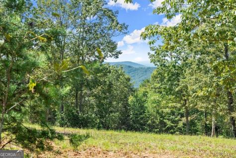0 Helton Road Cleveland GA 30528