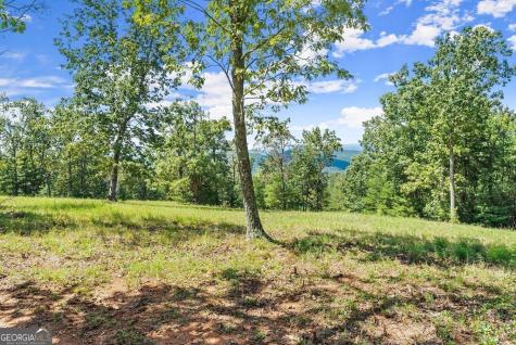 0 Helton Road Cleveland GA 30528