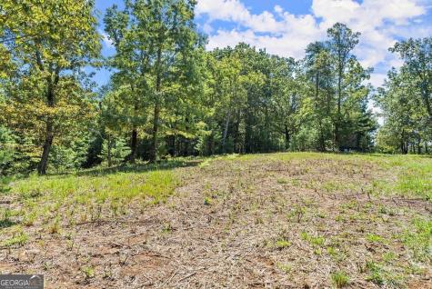 0 Helton Road Cleveland GA 30528