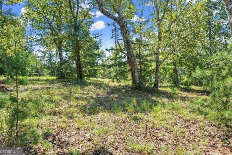 0 Helton Road Cleveland GA 30528