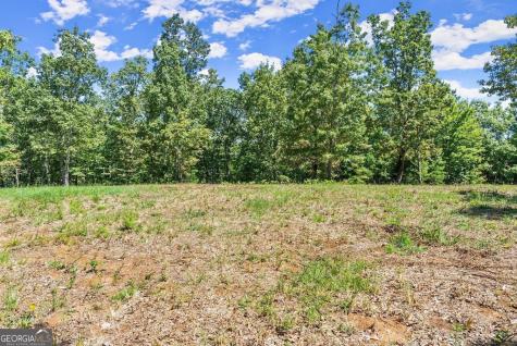 0 Helton Road Cleveland GA 30528