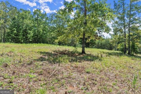 0 Helton Road Cleveland GA 30528