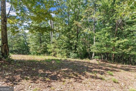 0 Helton Road Cleveland GA 30528