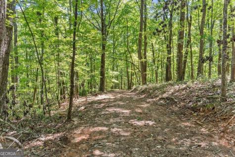 0 Helton Road Cleveland GA 30528