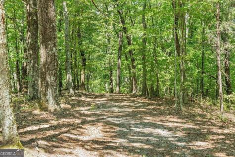 0 Helton Road Cleveland GA 30528