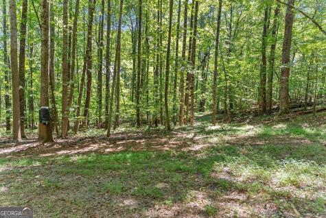 0 Helton Road Cleveland GA 30528
