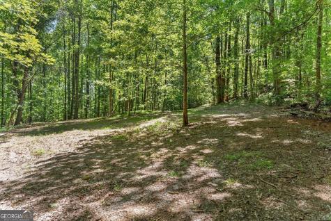 0 Helton Road Cleveland GA 30528