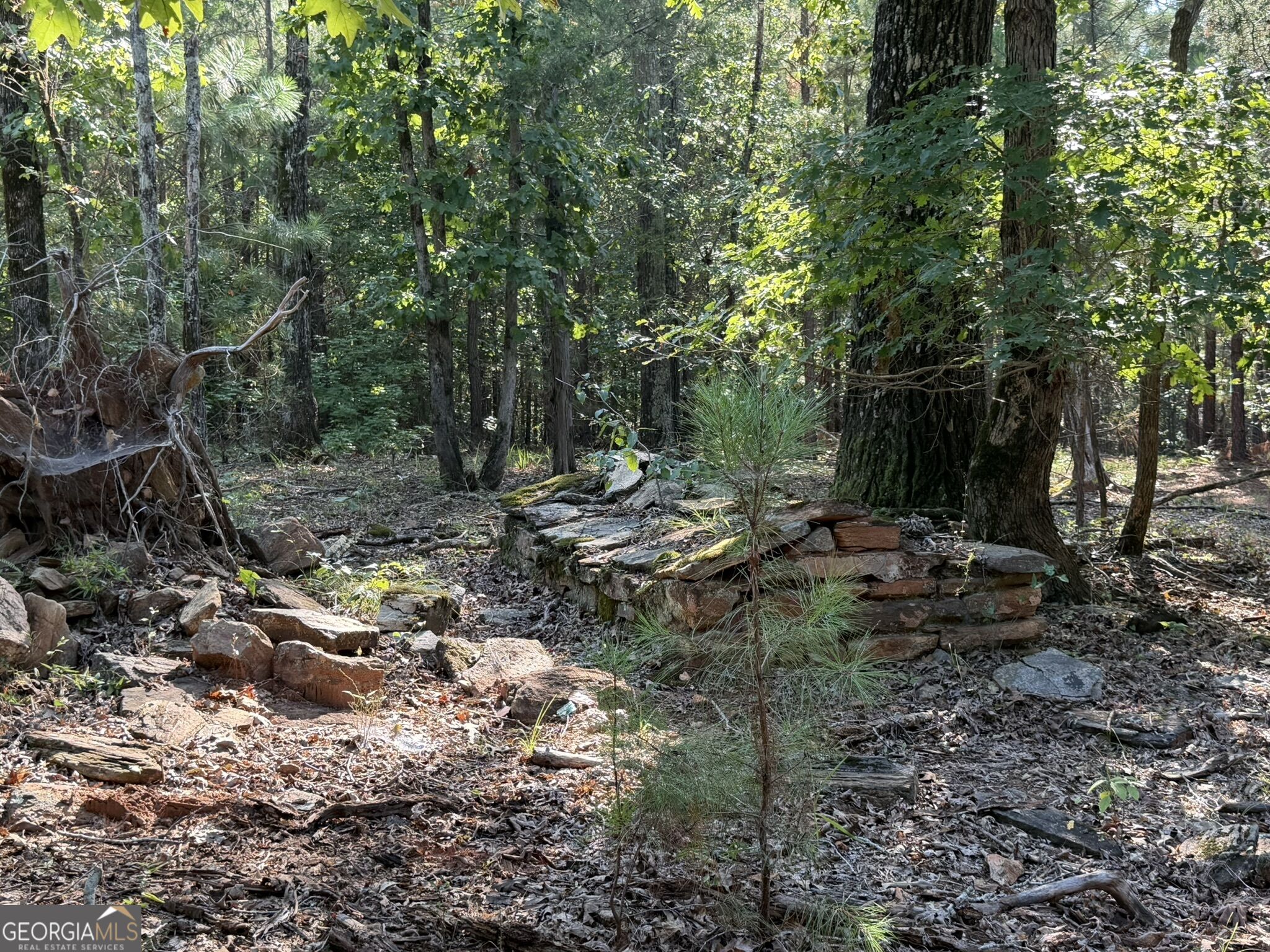 15.62 Acres Carlisle Gap Road Woodland GA 31836