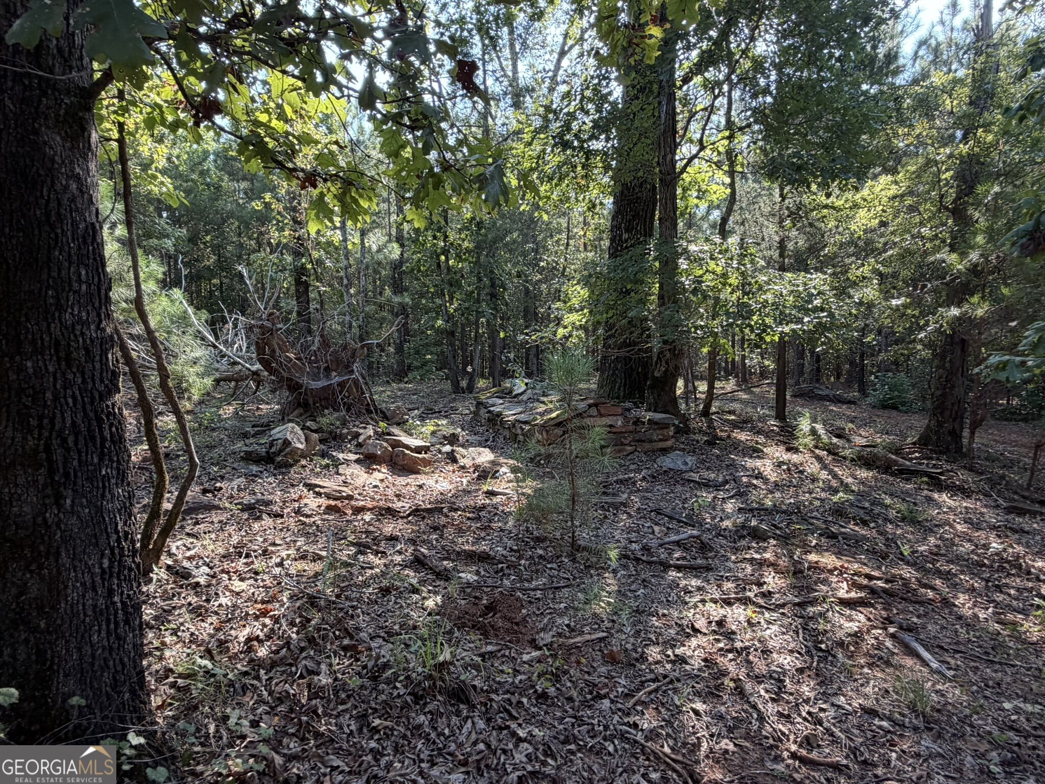 15.62 Acres Carlisle Gap Road Woodland GA 31836