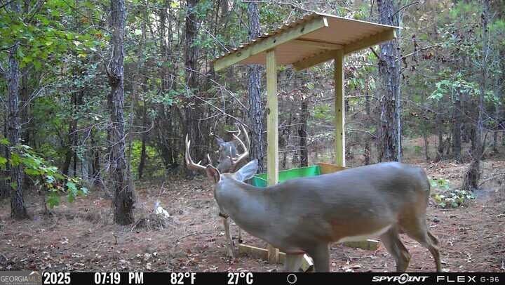 15.62 Acres Carlisle Gap Road Woodland GA 31836