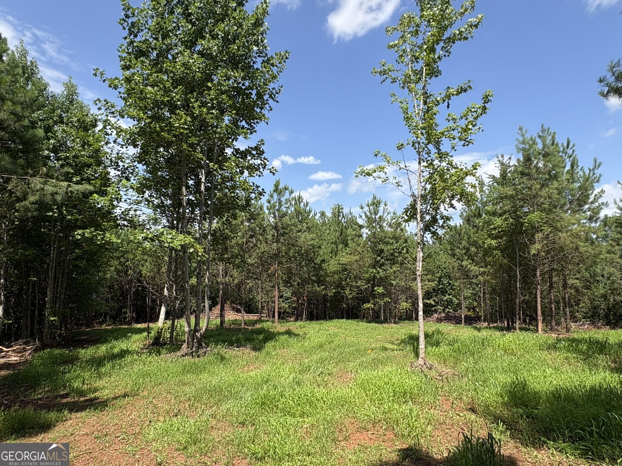 15.62 Acres Carlisle Gap Road Woodland GA 31836