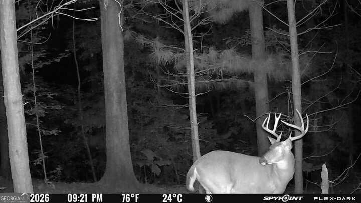 15.62 Acres Carlisle Gap Road Woodland GA 31836