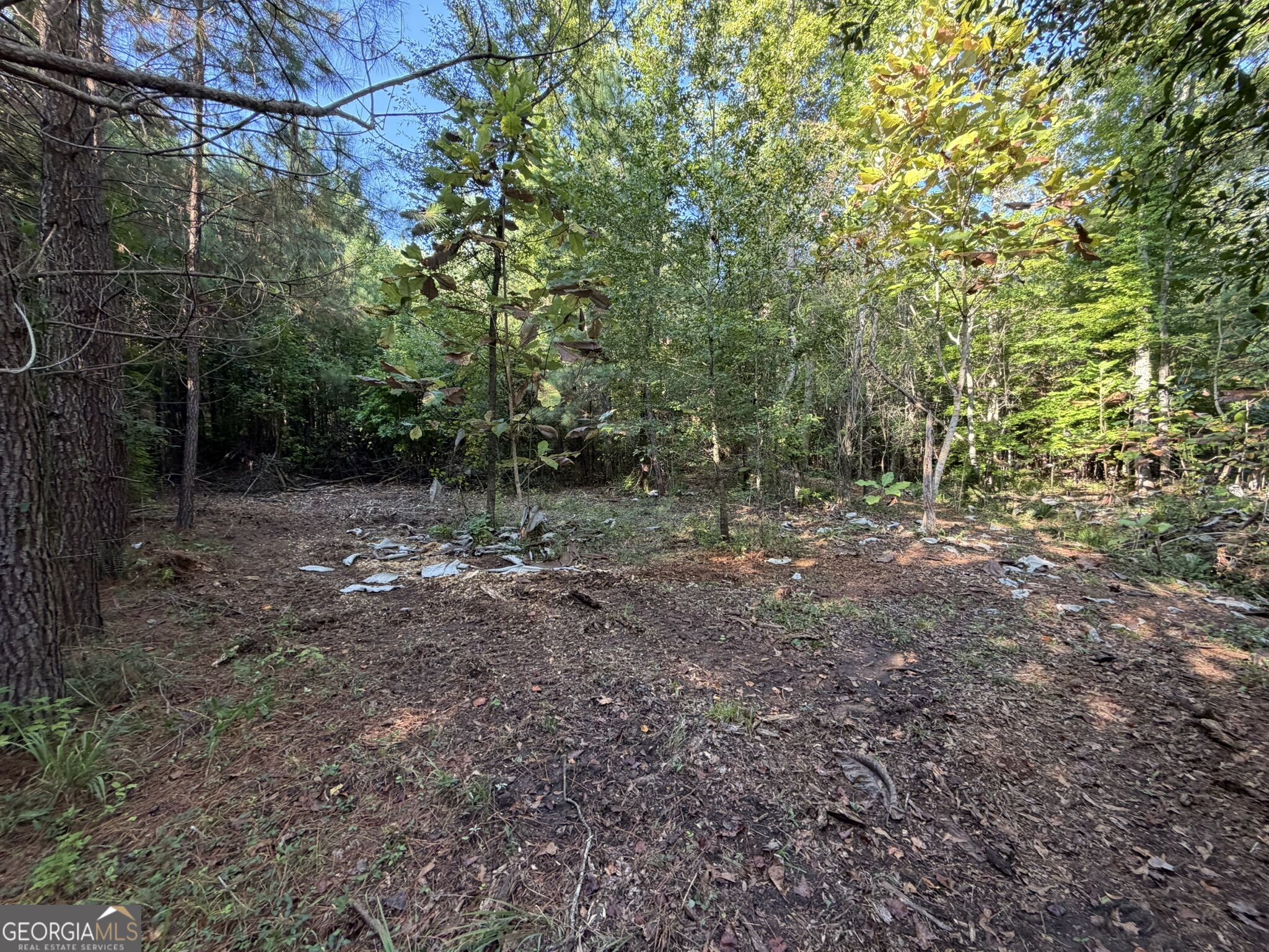 15.62 Acres Carlisle Gap Road Woodland GA 31836