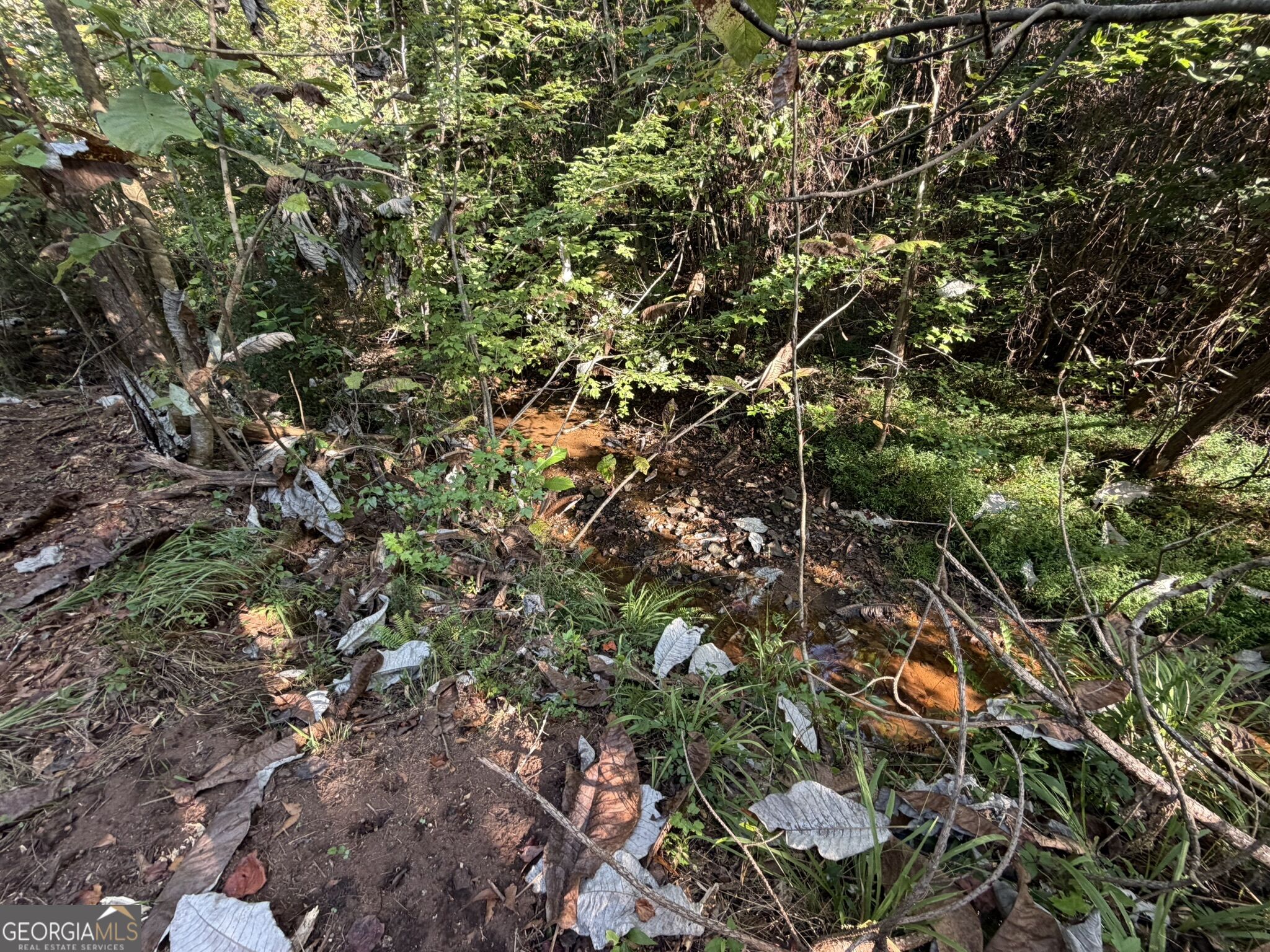 15.62 Acres Carlisle Gap Road Woodland GA 31836