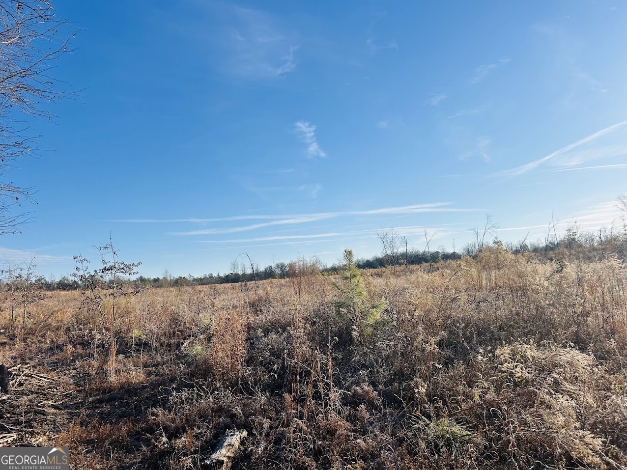 0 Bickley Road Butler GA 31006