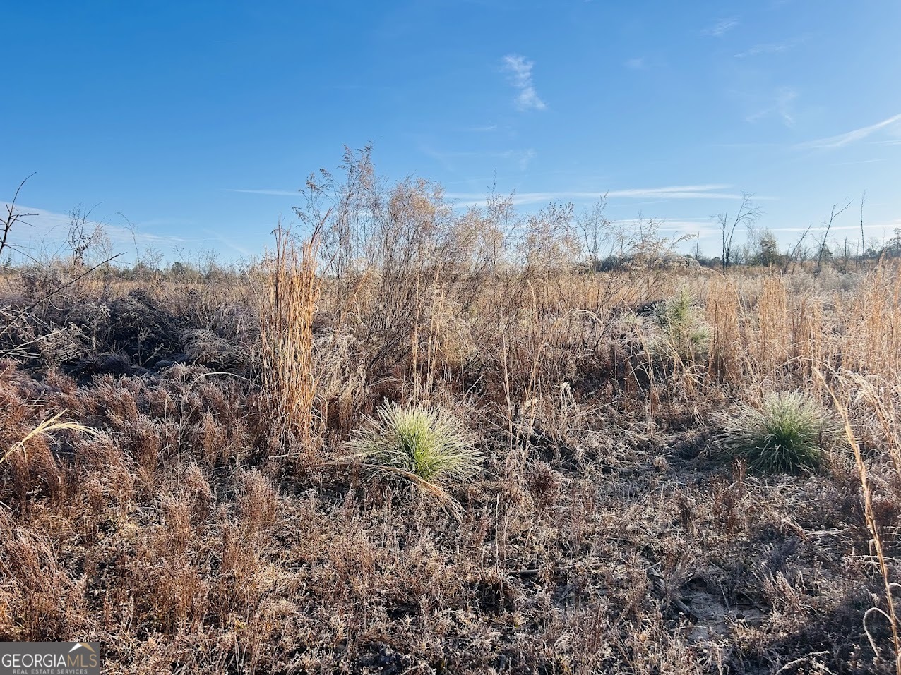 0 Bickley Road Butler GA 31006