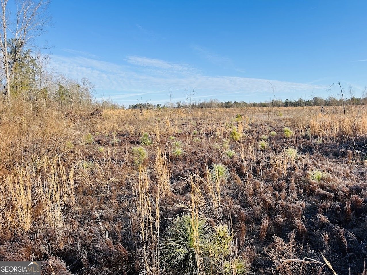 0 Bickley Road Butler GA 31006