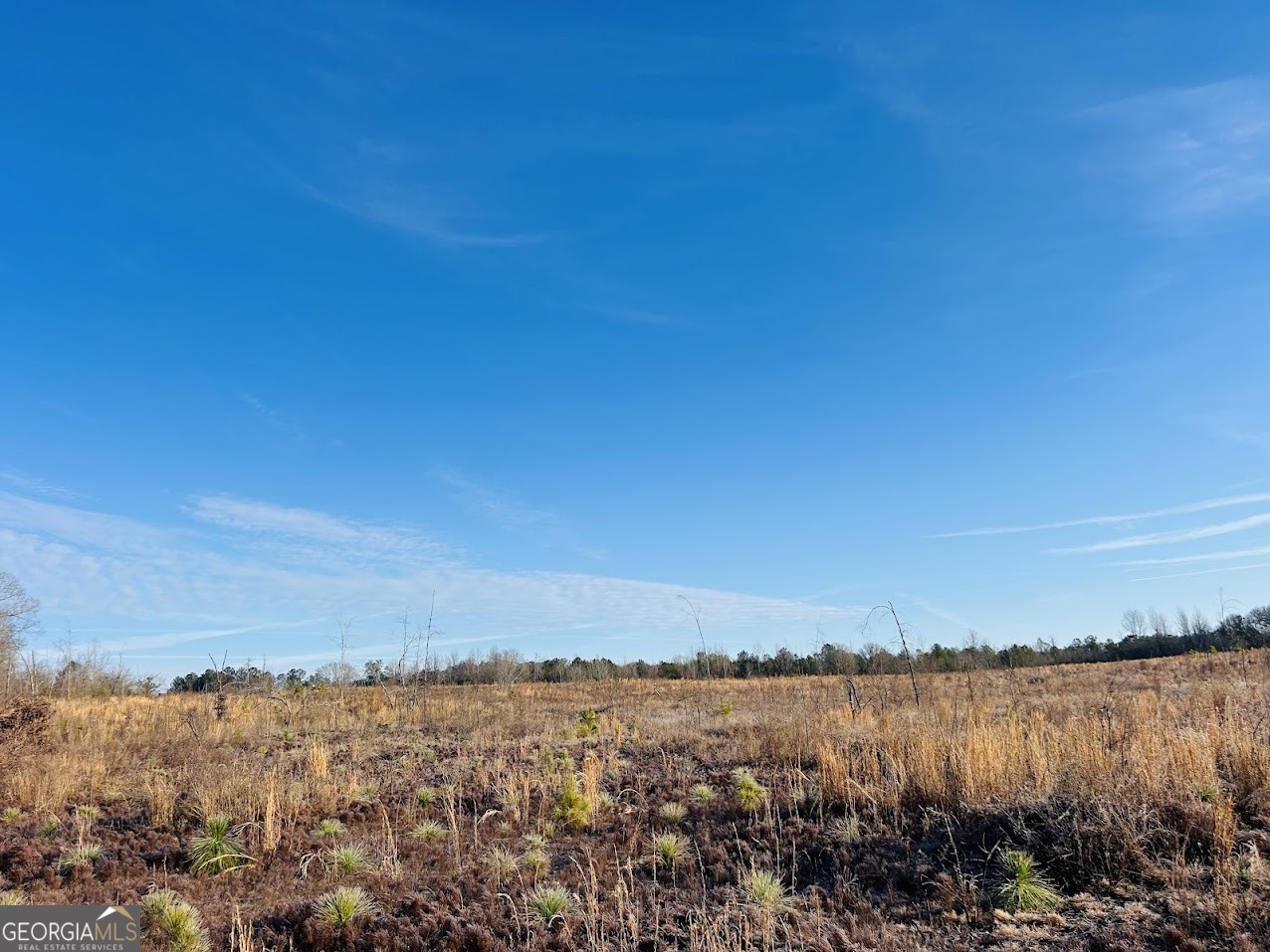 0 Bickley Road Butler GA 31006