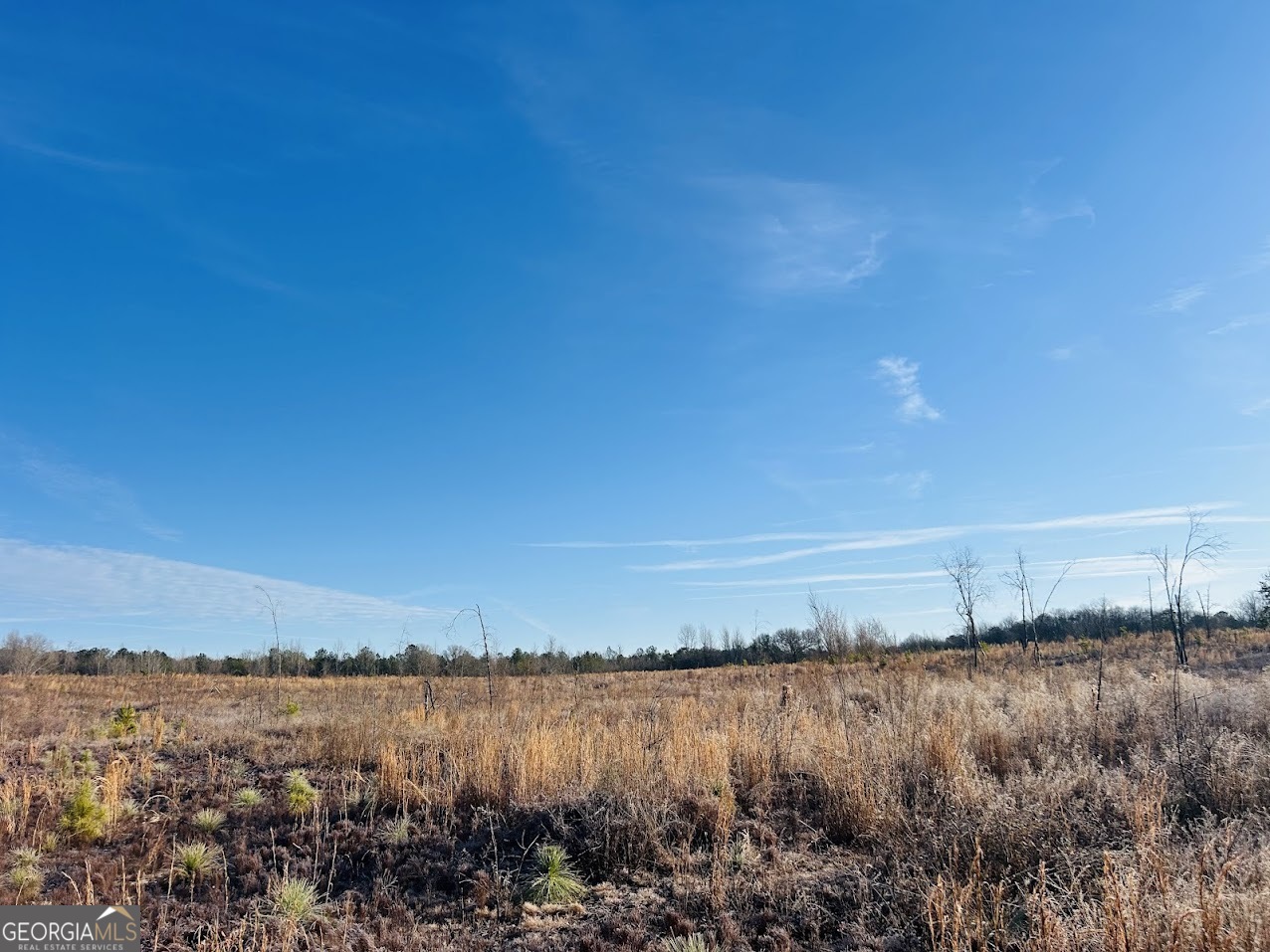 0 Bickley Road Butler GA 31006