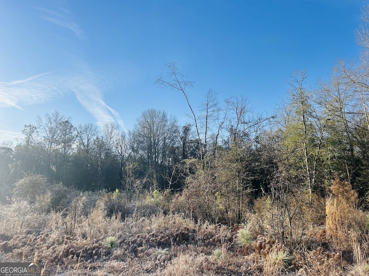 0 Bickley Road Butler GA 31006