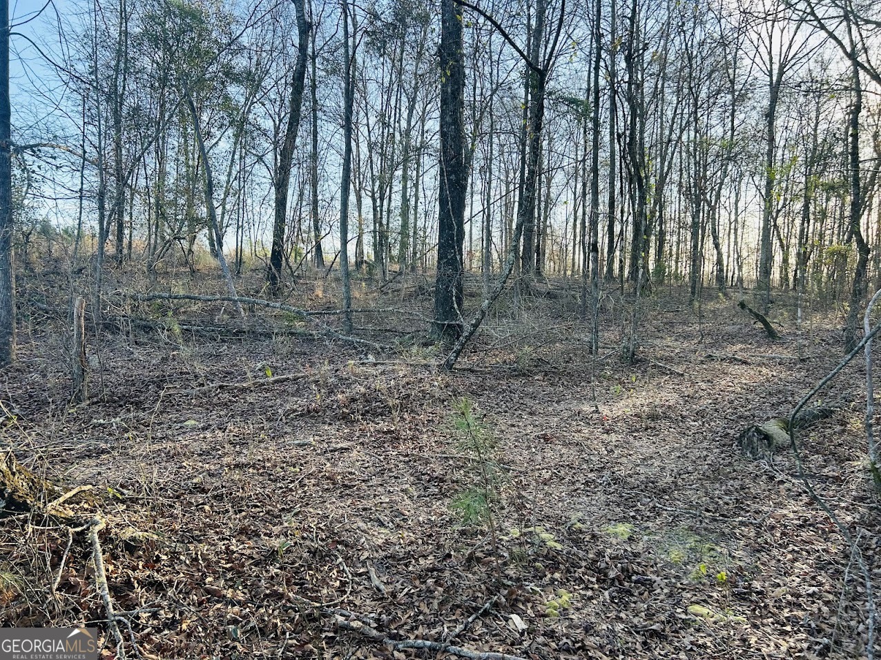 0 Bickley Road Butler GA 31006