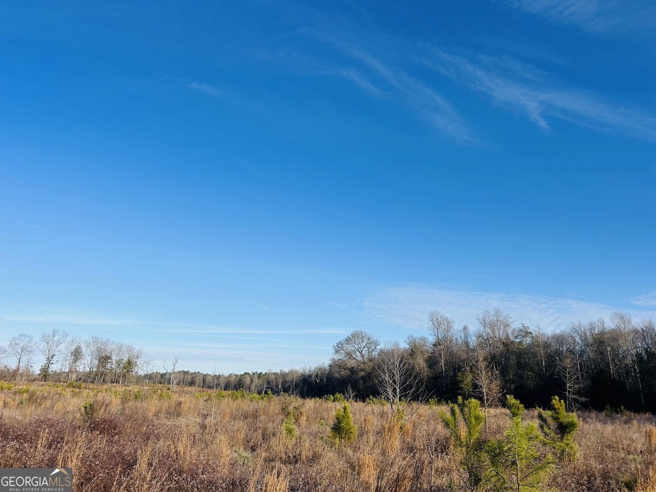 0 Bickley Road Butler GA 31006