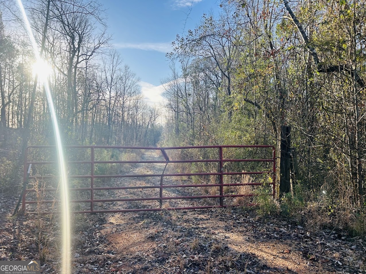 0 Bickley Road Butler GA 31006