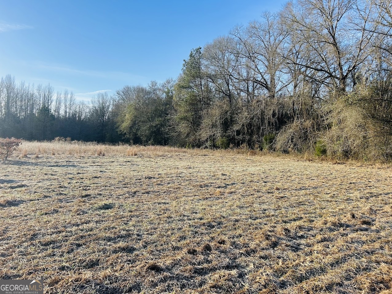 0 Bickley Road Butler GA 31006