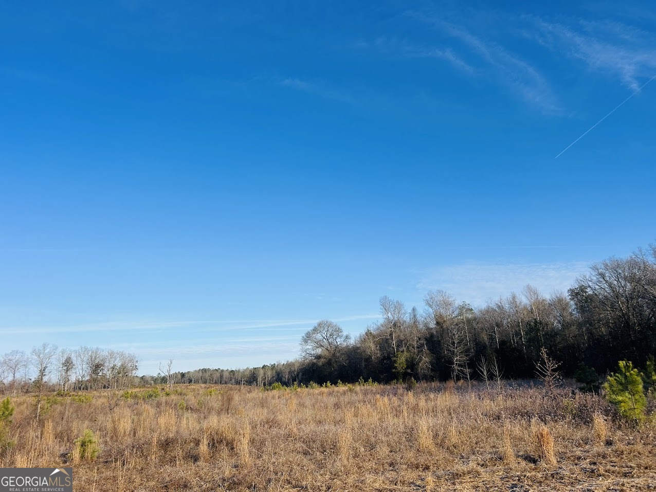 0 Bickley Road Butler GA 31006