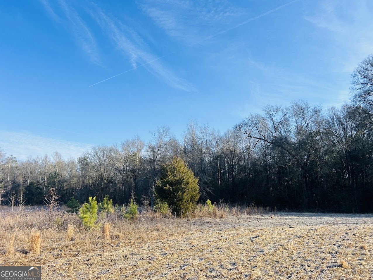 0 Bickley Road Butler GA 31006