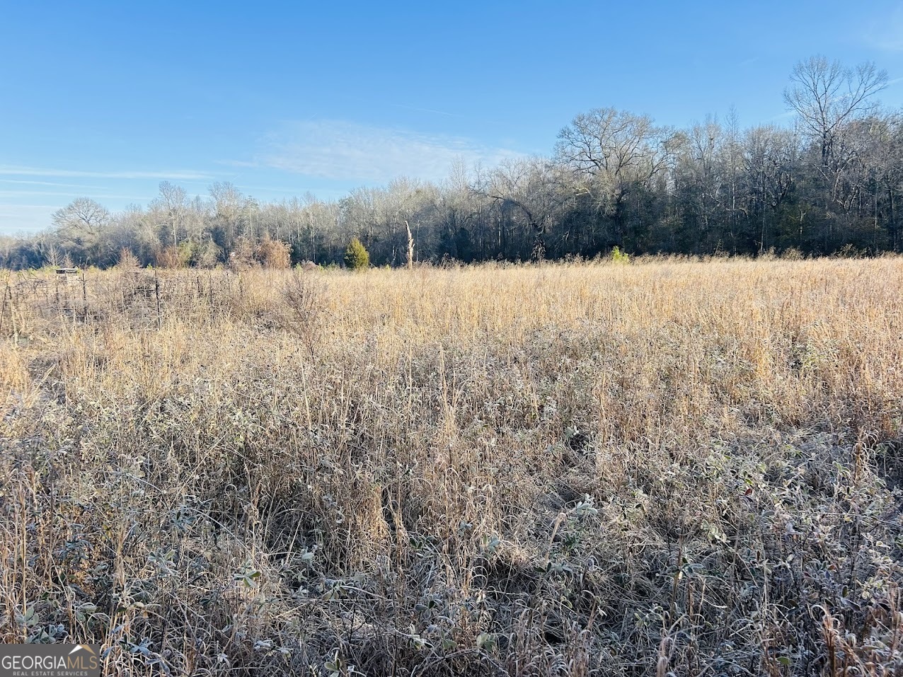 0 Bickley Road Butler GA 31006