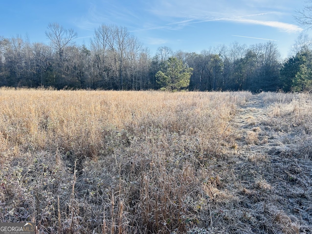 0 Bickley Road Butler GA 31006
