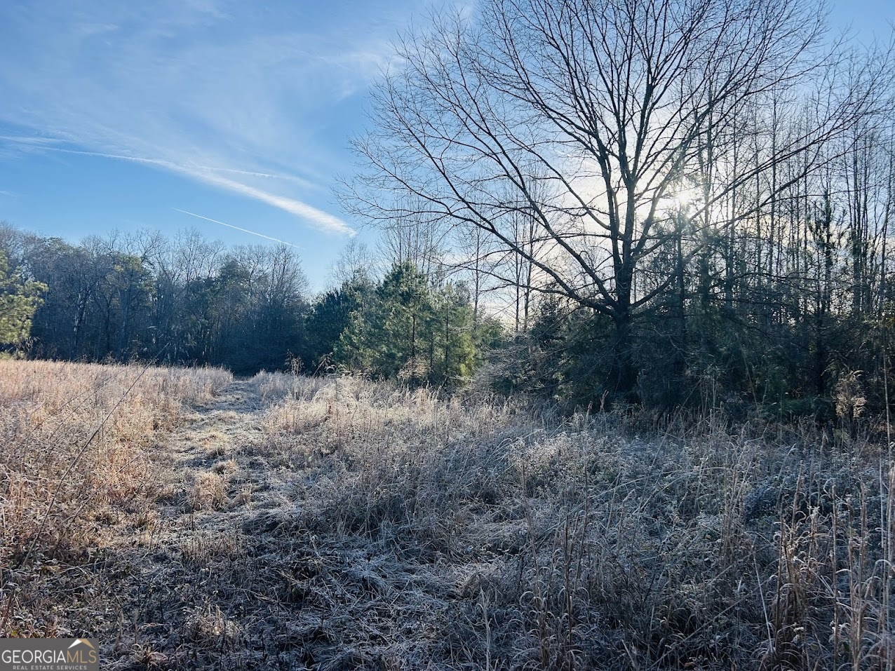 0 Bickley Road Butler GA 31006